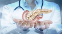 胰腺为何被称为生命线，保护胰腺要做
