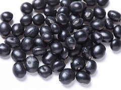 补肾吃黑豆黑豆的营养价值都有啥