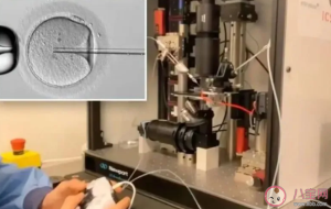 全球首批机器受精试管婴儿出生是真的吗 机器人受精有何意义