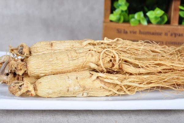 白参会过敏吗 什么人不能吃白参