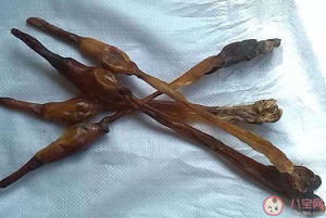 90后冒充老中医卖壮阳药赚900万 怎样科学壮阳