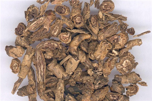 黄连可以降血糖吗 黄连的功效和作用