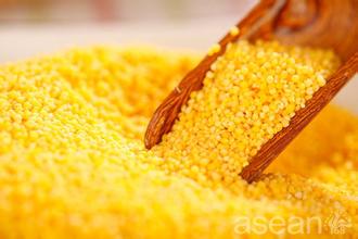 吃红糖小米粥，养胃补气血