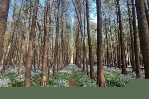 南京小众旅游景点推荐