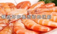 基围虾是海鲜吗?螺丝虾和基围虾的区别