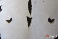 双鱼玉佩事件5张真实恐怖图 无法想通领队彭加木的消失