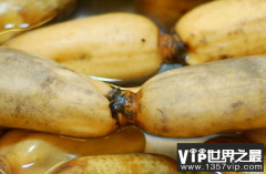 莲藕有丝是怎么回事？藕断丝连