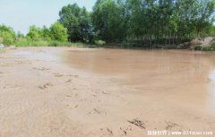 为何不挖走黄河下游淤积的泥沙成本较大？会劳民伤财