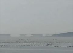 蓬莱八仙过海景区惊现海市蜃楼网友直呼：好神奇