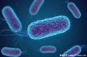 科学家培育出超级生命体 不会感染病毒和细菌(百毒不侵)