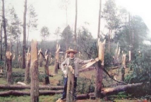 网上关于ufo的是真的吗(ufo事件真实值得看吗)图2