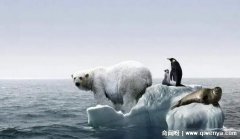 2035年人类灭绝，4大预言表明人类不久就会灭亡