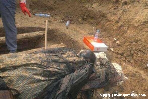 中国哪一年出现了僵尸在哪里闹过僵尸,1995成都(僵尸袭击事件)