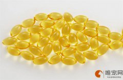 狗狗吃卵磷脂还需要吃鱼油吗？区别有哪些