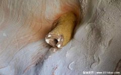 云南山区神秘洞穴疑似外星人访问地球的证据