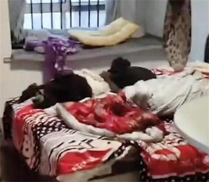 26岁女孩家里满是垃圾 装修工被吓到（垃圾房间）