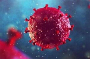 新发现924例本土重点关注变异株 该如何做措施？