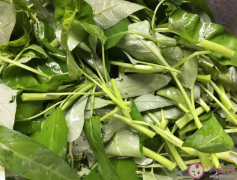 空心菜重金属超标是毒蔬菜吗？空心菜叫汽菜