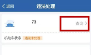 交管12123如何处理扣分？交管12123处理扣分的方法图片3
