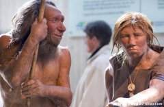 尼安德特人的灭亡至今是一个难以解决的谜团？原始人类