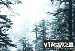 揭秘瓦屋山迷魂凼之谜：很多人进去里面都迷失了方向，直到后来被饿死