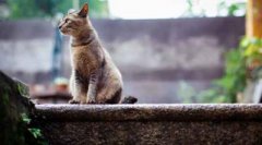 懂你的人不需要解释，懂你，+，疼你，+，