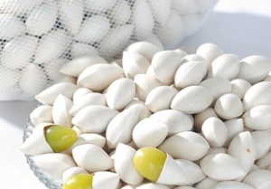 白果季到!吃点护心脑