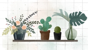 中国香草荚种植基地 中国香草荚种植基地是