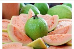 吃番石榴需注意什么喝番石榴茶能降血糖吗？