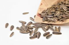 减肥期间能不能碰瓜子及减肥期哪些食物不能