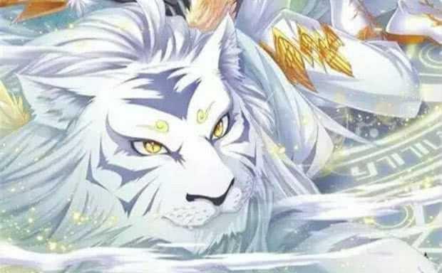 同样是上古血脉,虎王蓝蝴蝶和黄金狮虎谁更强 蓝轩宇给出答案(同样是上古血脉)(1)