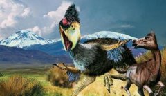 你知道骇鸟灭绝的原因吗？堪称最大鸟类