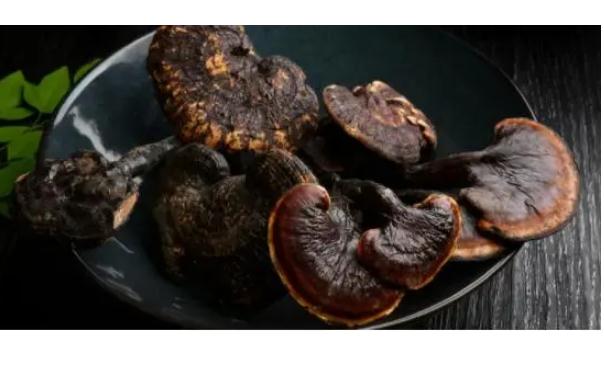 灵芝可以降血糖吗？灵芝主要成份与疗效有哪些？