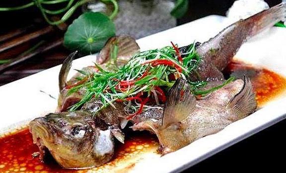 为什么桂花鱼要叫桂花？桂花鱼有牙吗