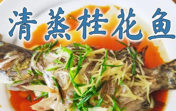 为什么桂花鱼要叫桂花？桂花鱼有牙吗