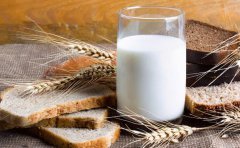 全脂牛奶和纯牛奶的区别纯牛奶和酸奶哪个营养更高