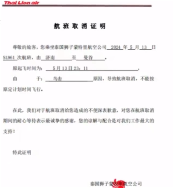 济南飞曼谷航班遭鸟击返航:发动机冒火花 还有巨响