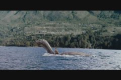 湖光岩水怪是什么动物很可能是体型巨大的淡水鱼