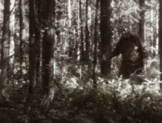 神农架野人未解之谜？许多当地居民都曾声称