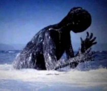 未解之谜：世界上体型最大的海龟种类世界上