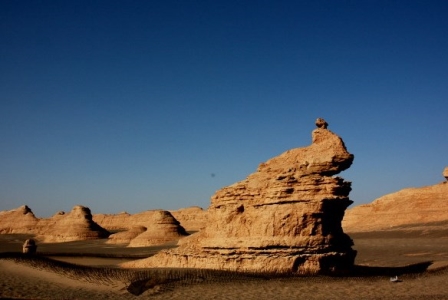 未解之谜：地球上体型最大的海龟 种类 地球上体型最大的海龟 种类的
