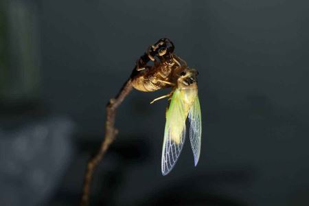 毛驴配公马,脾气一个比一个暴躁,还好最终修成正果