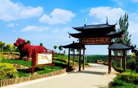 自驾去崂山风景区把车停哪