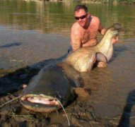 黑猩猩战争教会我们谋杀和残忍不仅仅是人类的特征