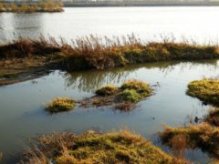 塞尔达传说旷野之息悬崖过鸡蛋里挑骨头塞尔