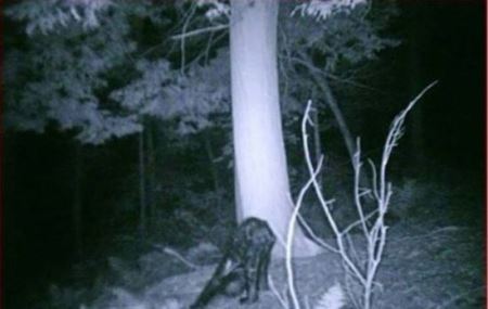 亚特兰蒂斯位置未解之谜:亚特兰蒂斯文明未解之谜