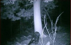 亚特兰蒂斯位置未解之谜：亚特兰蒂斯文明未