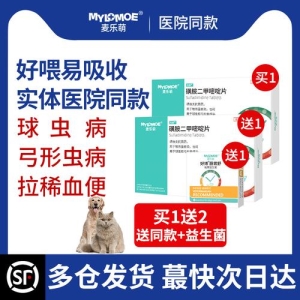 猫咪不吃饭，该怎么办？怎么才能让猫咪乖乖进食？