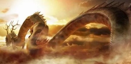 未解之谜:天使猫真的存在吗?天使猫叫啥