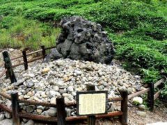 未解之谜：天使猫存在吗？天使猫叫啥